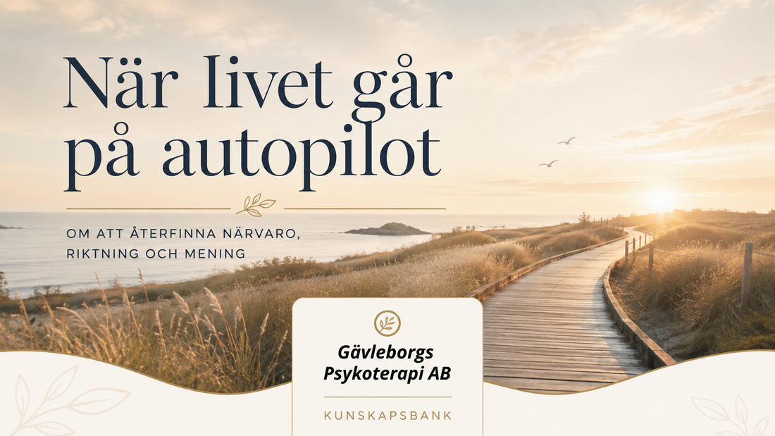 När livet går på autopilot