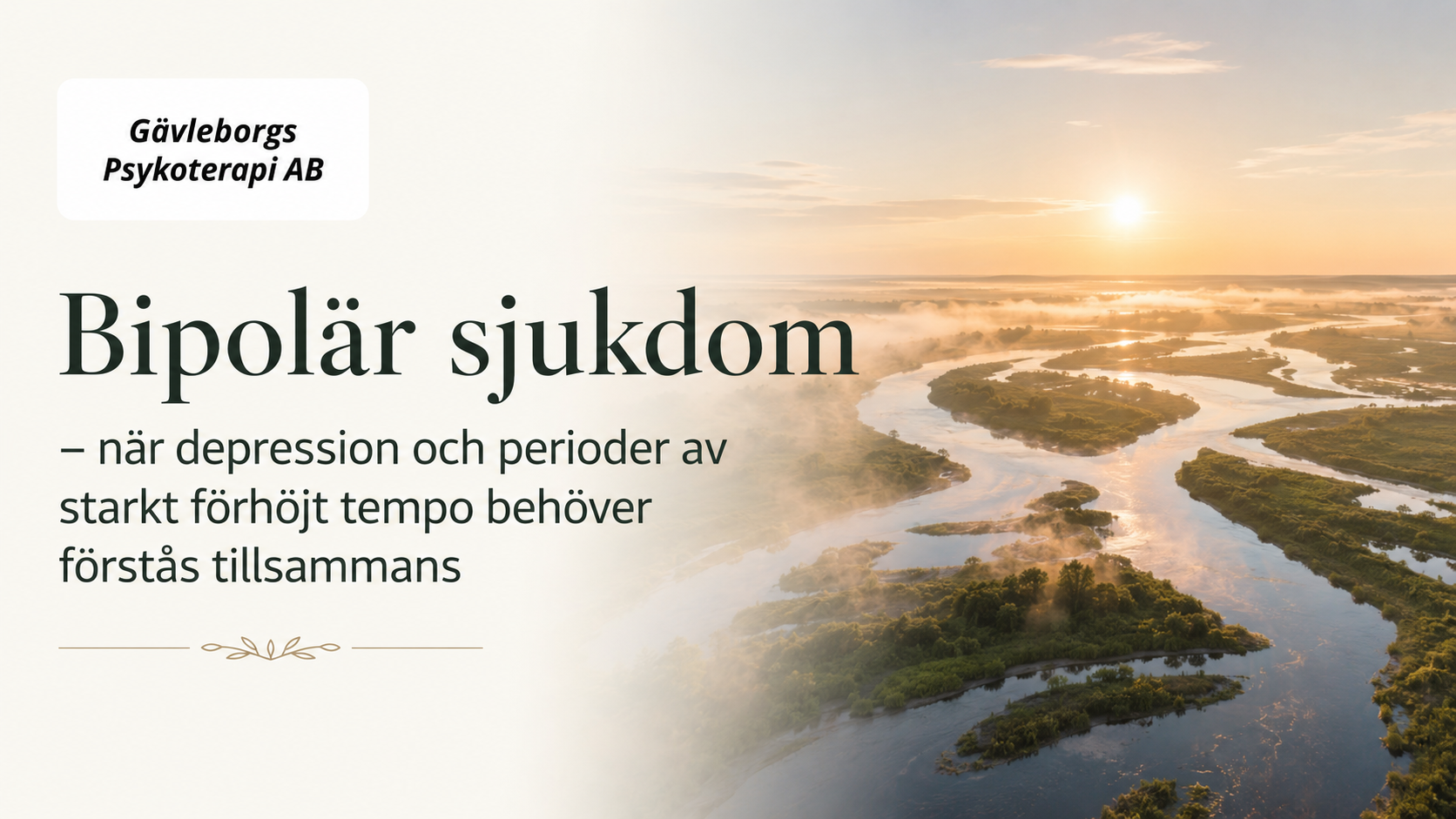 Bipolär sjukdom: när depression och perioder av starkt förhöjt tempo behöver förstås tillsammans