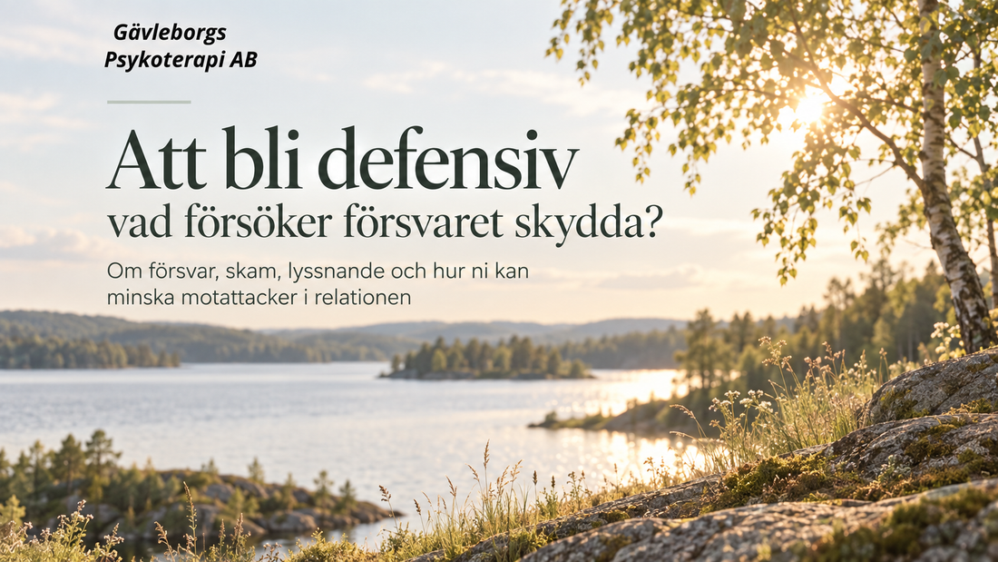 Att bli defensiv – vad försöker försvaret skydda?
