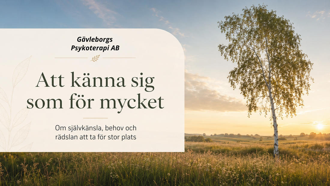 Att känna sig som för mycket