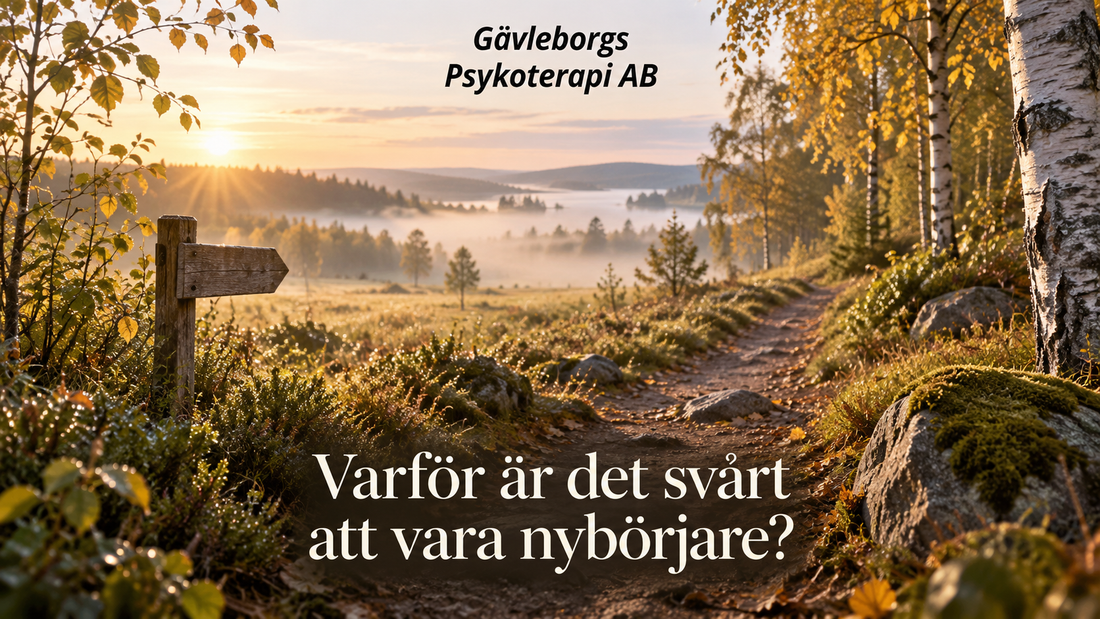 Varför är det svårt att vara nybörjare?
