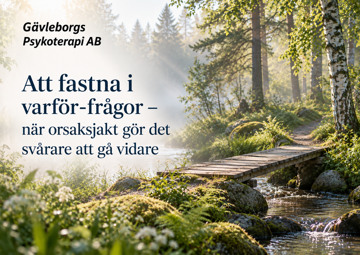 Att fastna i varför-frågor – när orsaksjakt gör det svårare att gå vidare