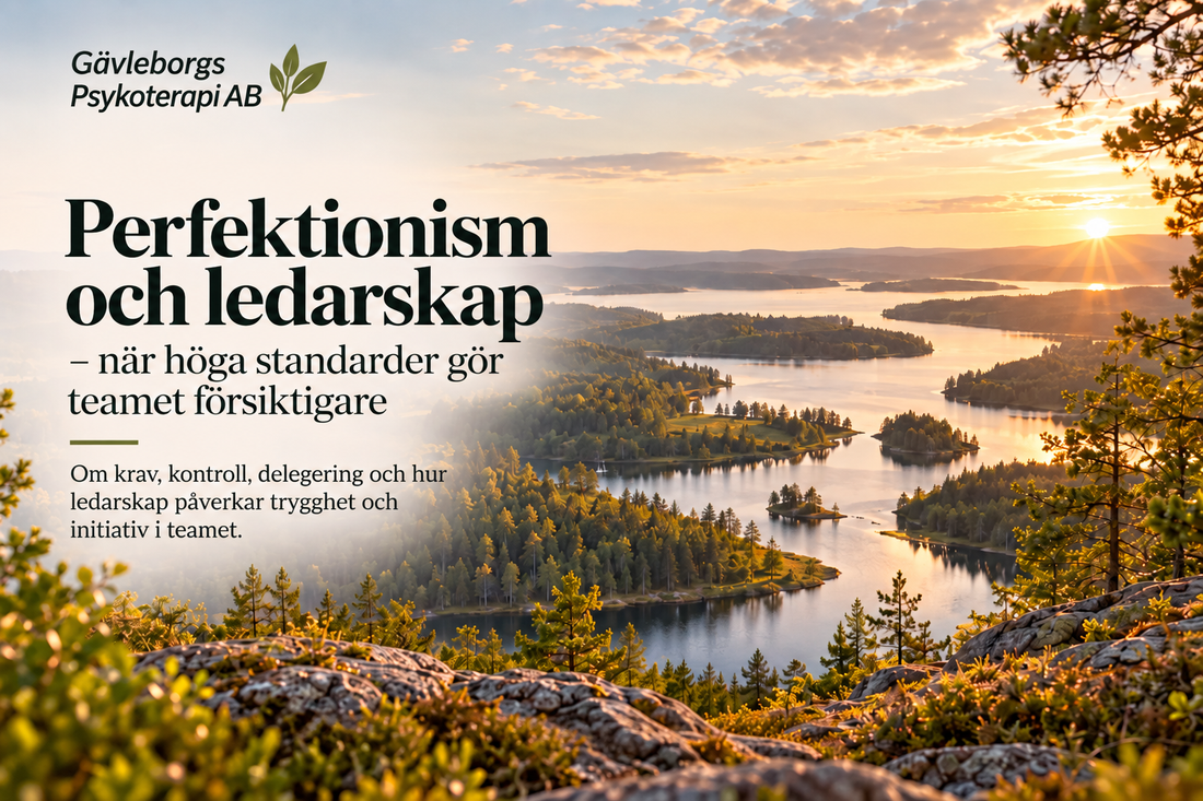 Perfektionism och ledarskap – när höga standarder gör teamet försiktigare