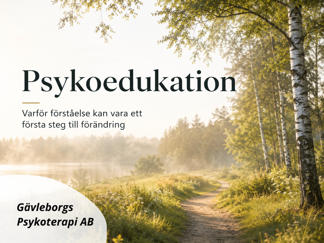 Psykoedukation – varför förståelse kan vara ett första steg till förändring