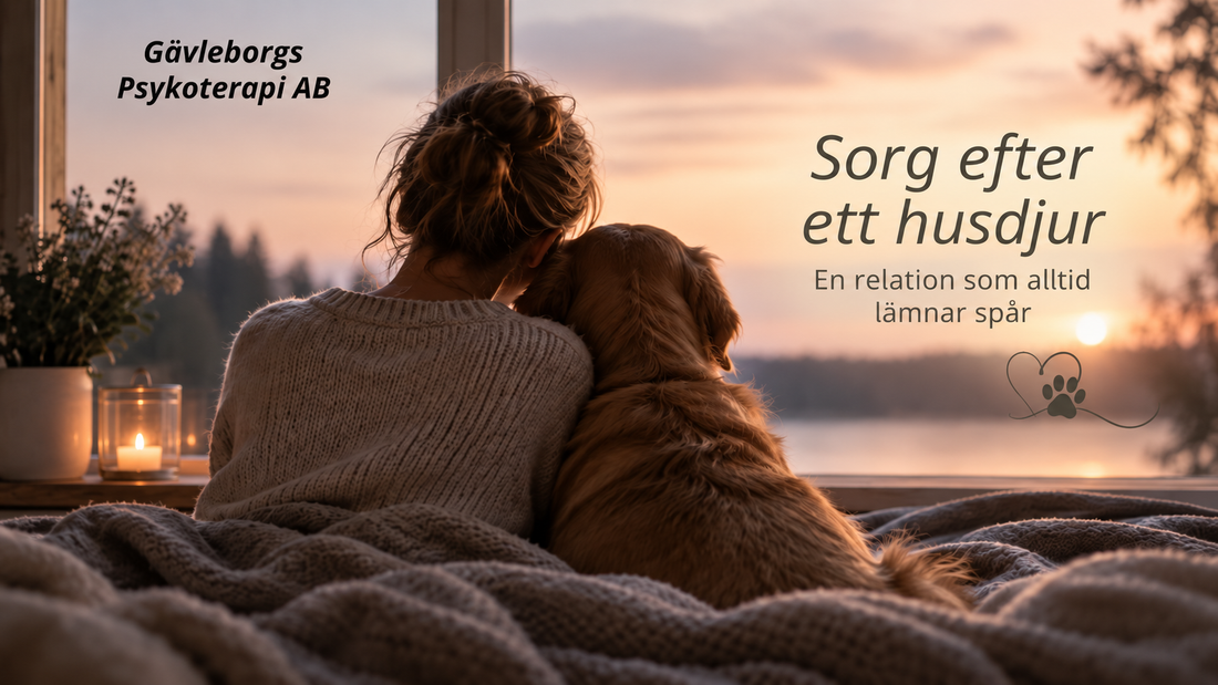 Sorg efter ett husdjur – varför förlusten kan vara djup även när omgivningen inte förstår