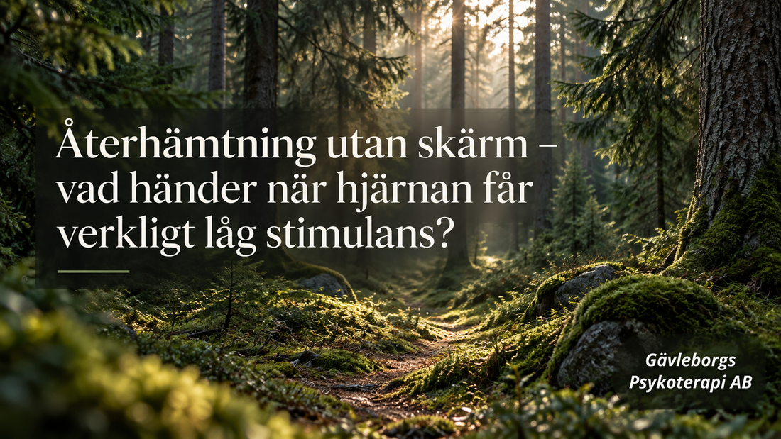 Återhämtning utan skärm – vad händer när hjärnan får verkligt låg stimulans?