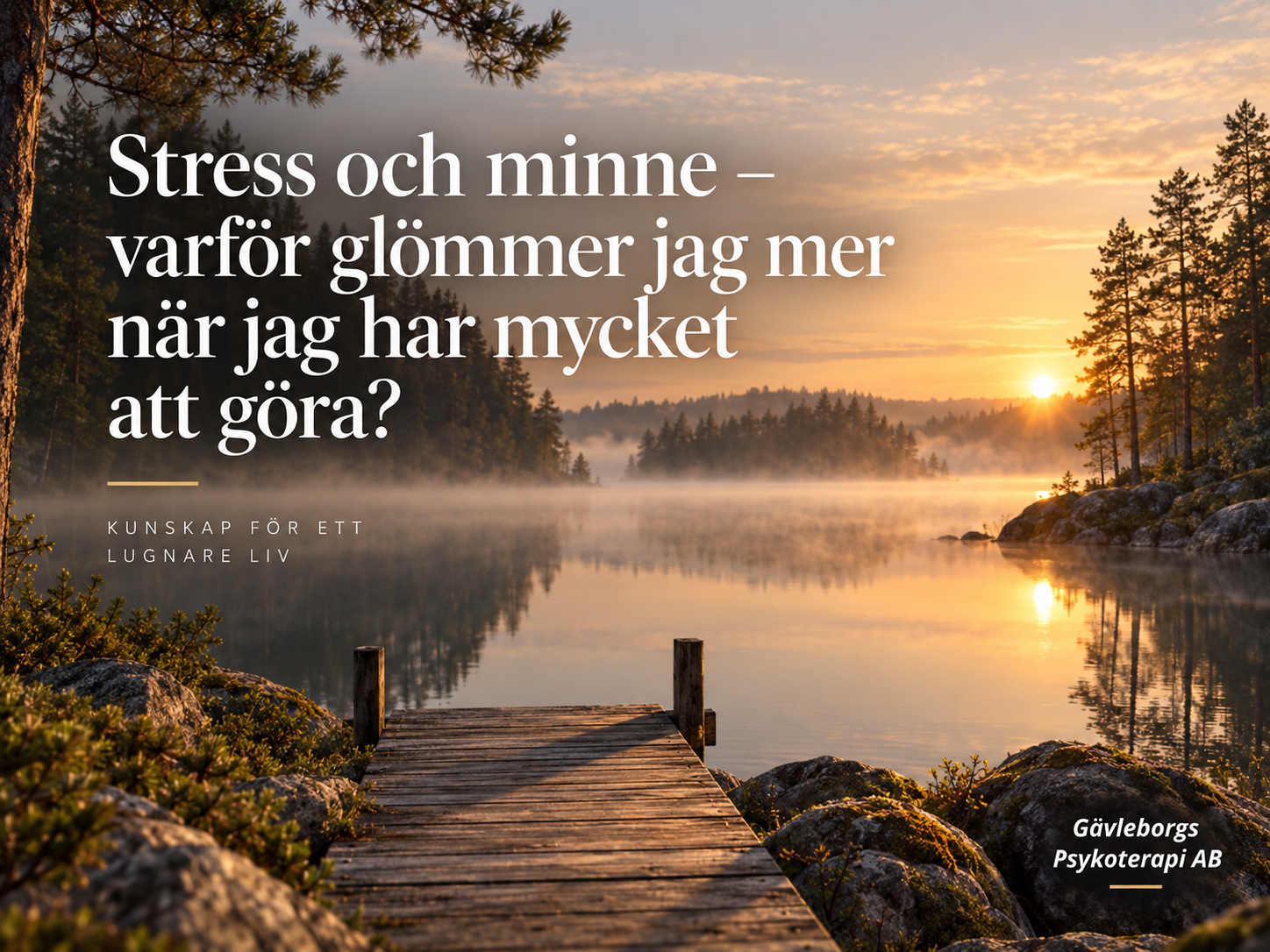 Stress och minne – varför glömmer jag mer när jag har mycket att göra?
