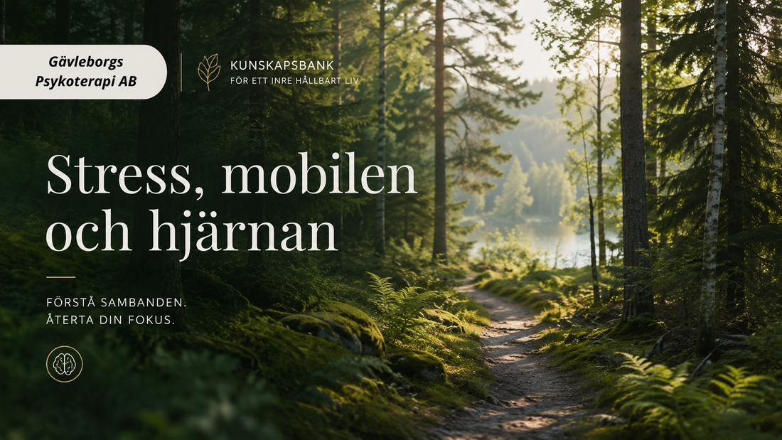 Varför tar jag upp mobilen hela tiden? – när vanan hinner före det du egentligen tänkte göra