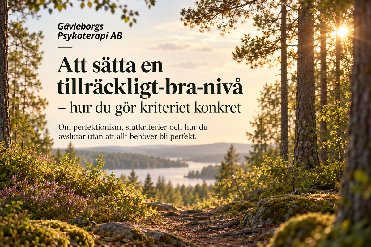 Att sätta en tillräckligt-bra-nivå – hur du gör kriteriet konkret
