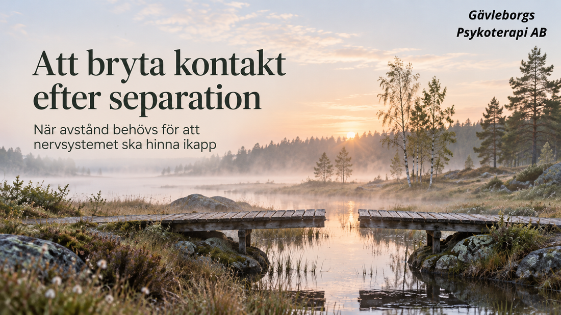 Att bryta kontakt efter separation – när avstånd behövs för att nervsystemet ska hinna ikapp
