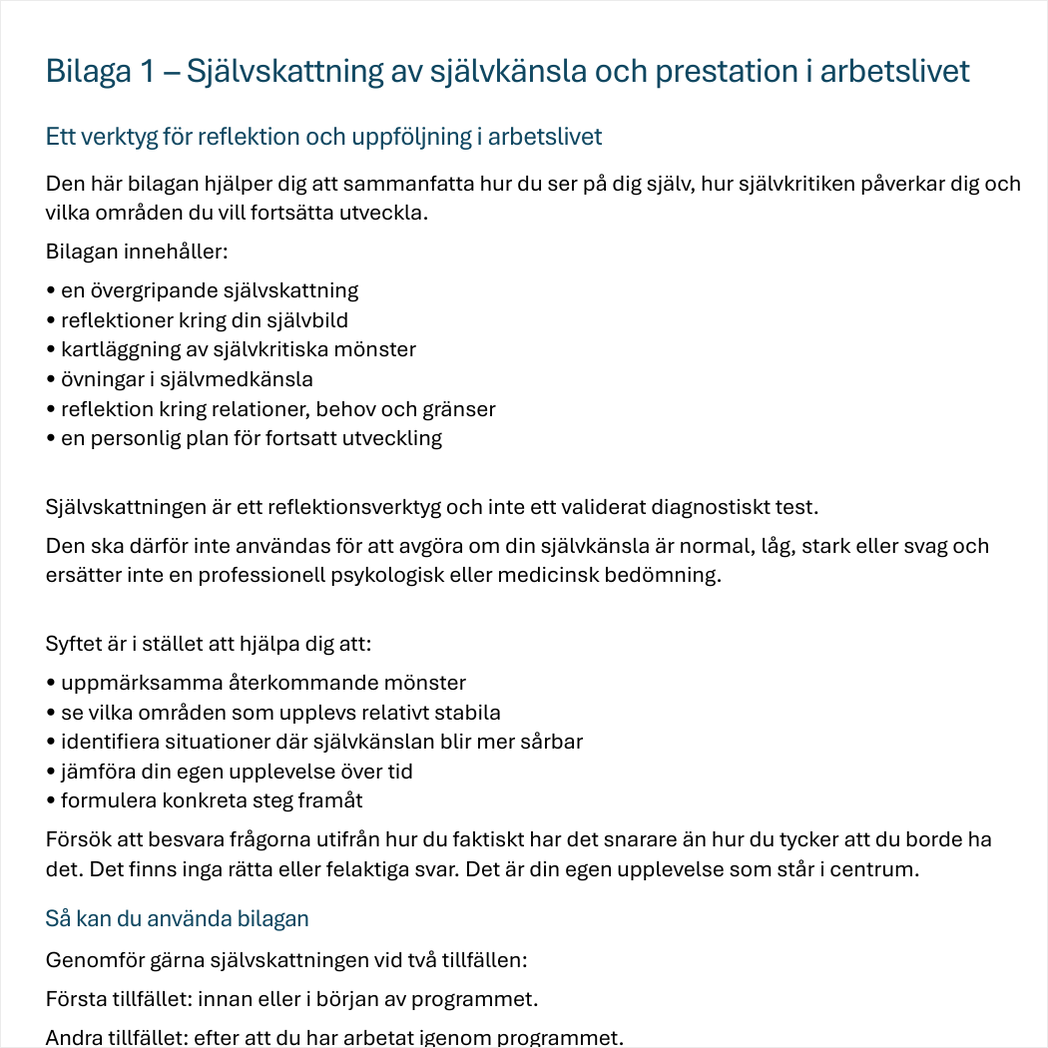 Självkänsla och självkritik i arbetslivet